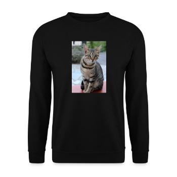 Katze Kätzchen Poster Katzenposter - Unisex Pullover - Schwarz - Vorne - Alina (178cm) & Michal (187cm)