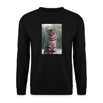 Katze Kätzchen - Unisex Pullover - Schwarz - Vorne - Alina (178cm) & Michal (187cm)