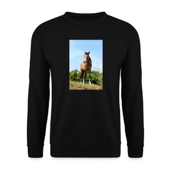 Pferd Pferdeposter - Unisex Pullover - Schwarz - Vorne - Alina (178cm) & Michal (187cm)