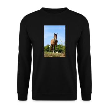 Horse Horse Poster - Unisex Sweatshirt - black - Front - Alina (178cm) & Michal (187cm)