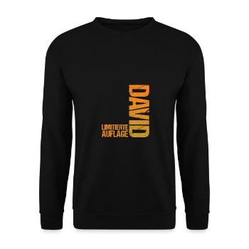 David - Unisex Sweatshirt - black - Front - Alina (178cm) & Michal (187cm)