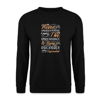 Never Underestimate Coffee - Unisex Sweatshirt - black - Front - Alina (178cm) & Michal (187cm)