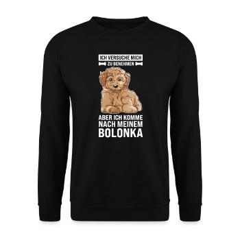 Bolonka Hund Bolonka Zwetna Geschenk - Unisex Pullover - Schwarz - Vorne - Alina (178cm) & Michal (187cm)