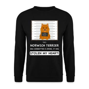Norwich Terrier Mugshot - Unisex Sweatshirt - black - Front - Alina (178cm) & Michal (187cm)
