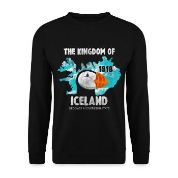 Puffin Island Papagei Taucher Vogel Nord Geschenk - Unisex Pullover - Schwarz - Vorne - Alina (178cm) & Michal (187cm)