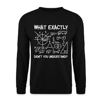 Mathe Was Genau Verstehst du nicht Mathematisch - Unisex Pullover - Schwarz - Vorne - Alina (178cm) & Michal (187cm)