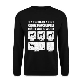 Greyhound Hundetricks kurzhaariger Windhund Spruch - Unisex Pullover - Schwarz - Vorne - Alina (178cm) & Michal (187cm)