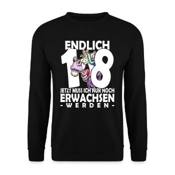 Endlich 18 Jahre - 18. Geburtstag - Unisex Pullover - Schwarz - Vorne - Alina (178cm) & Michal (187cm)