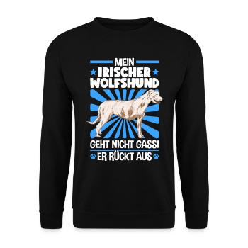 Irischer Wolfshund Gassi gehen Wolfhound - Unisex Pullover - Schwarz - Vorne - Alina (178cm) & Michal (187cm)