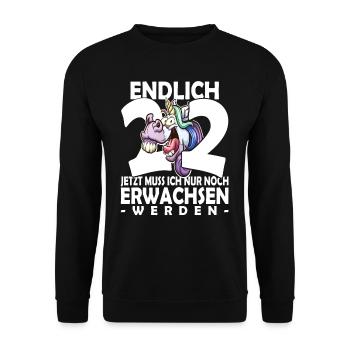 Endlich 22 Jahre - 22. Geburtstag - Unisex Pullover - Schwarz - Vorne - Alina (178cm) & Michal (187cm)