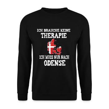 Ich muss nur nach Odense Dänemark Skandinavien - Unisex Pullover - Schwarz - Vorne - Alina (178cm) & Michal (187cm)