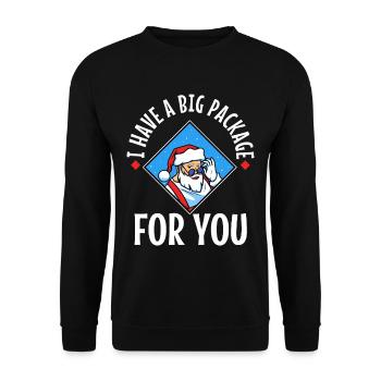 J’ai un gros paquet pour vous - Sweat-shirt Unisexe - noir - Devant - Alina (178cm) & Michal (187cm)
