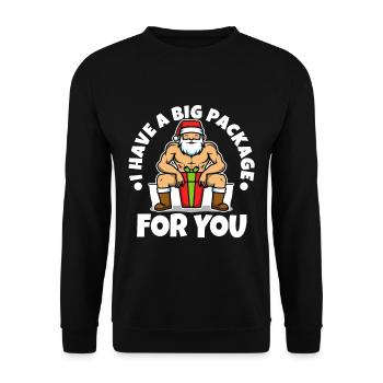 J’ai un gros paquet pour vous - Sweat-shirt Unisexe - noir - Devant - Alina (178cm) & Michal (187cm)