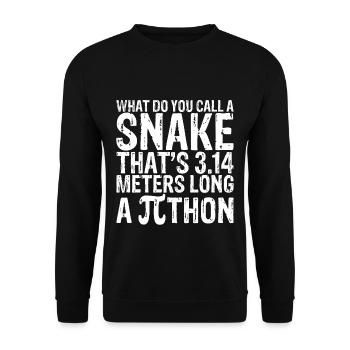A Snake That's 3.14 Meters Long, A Pithon 4 - Unisex Sweatshirt - black - Front - Alina (178cm) & Michal (187cm)