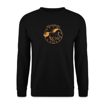 Chinese New Year 2026 | Year of the Fire Horse - Unisex Sweatshirt - black - Front - Alina (178cm) & Michal (187cm)