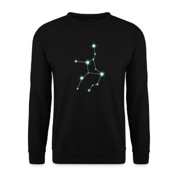 Jungfrau Stern Sternbild Tierkreiszeichen Grün - Unisex Pullover - Schwarz - Vorne - Alina (178cm) & Michal (187cm)