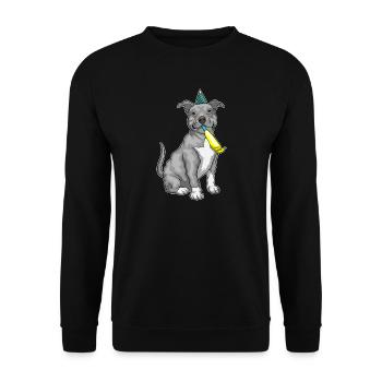 Pitbull Geburtstag Tröte - Unisex Pullover - Schwarz - Vorne - Alina (178cm) & Michal (187cm)