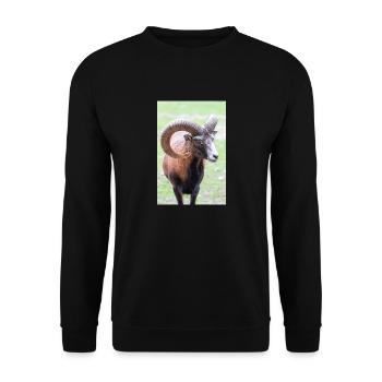 European mouflon Europäischer Mufflon - Unisex Pullover - Schwarz - Vorne - Alina (178cm) & Michal (187cm)