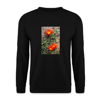 plante de glace rampante rustique plante de glace Delosperma - Sweat-shirt Unisexe - noir - Devant - Alina (178cm) & Michal (187cm)
