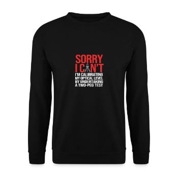 Surveyor - Unisex Sweatshirt - black - Front - Alina (178cm) & Michal (187cm)