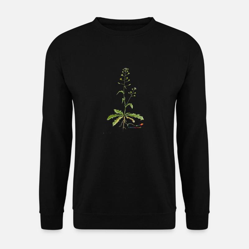Shepherd's purse (Capsella bursa pastoris) - Unisex Sweatshirt - black