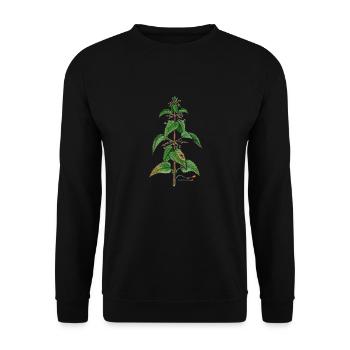 Brennnessel (Urtica dioica) - Unisex Pullover - Schwarz - Vorne - Alina (178cm) & Michal (187cm)