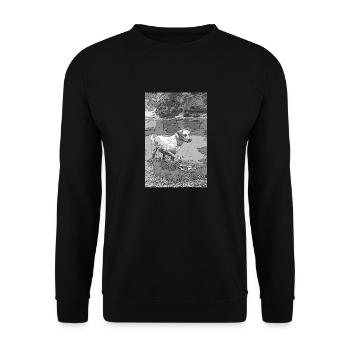 le labrador dans l'eau - Sweat-shirt Unisexe - noir - Devant - Alina (178cm) & Michal (187cm)