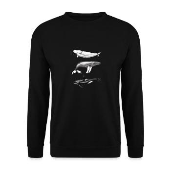 Beluga-Delphin, Buckelwal und Buckelwal - Unisex Pullover - Schwarz - Vorne - Alina (178cm) & Michal (187cm)