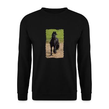 Friesian stallion - Unisex Sweatshirt - black - Front - Alina (178cm) & Michal (187cm)