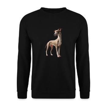 Whippet - Lévrier italien, Super Chien - Sweat-shirt Unisexe - noir - Devant - Alina (178cm) & Michal (187cm)