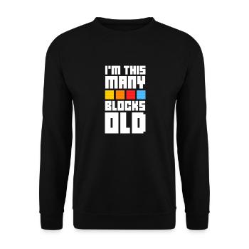 I'm this many blocks old - Unisex Pullover - Schwarz - Vorne - Alina (178cm) & Michal (187cm)