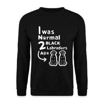 2 Two Black Lab Labrador Retriever Gift Idea Dog - Unisex Sweatshirt - black - Front - Alina (178cm) & Michal (187cm)