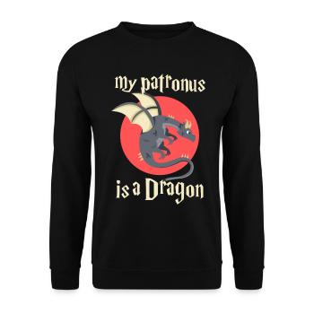 Protecteur d'histoire de dragon - Sweat-shirt Unisexe - noir - Devant - Alina (178cm) & Michal (187cm)