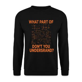 Physik Wissenschaft Naturwissenschaft Geschenk - Unisex Pullover - Schwarz - Vorne - Alina (178cm) & Michal (187cm)
