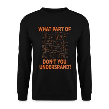 Physik Wissenschaft Naturwissenschaft Geschenk - Unisex Pullover - Schwarz - Vorne - Alina (178cm) & Michal (187cm)