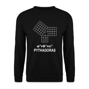 Sentence of Pythagoras Gift for Math Teacher Nerd - Unisex Sweatshirt - black - Front - Alina (178cm) & Michal (187cm)