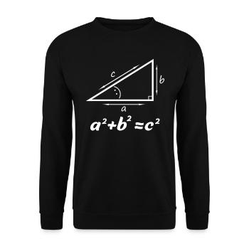 Pythagorean theorem gift for math teacher nerd - Unisex Sweatshirt - black - Front - Alina (178cm) & Michal (187cm)