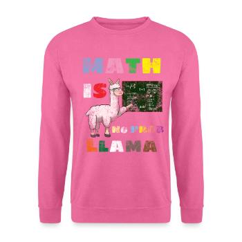 Math Joke - Sweat-shirt Unisexe - rose - Devant