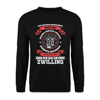Sternzeichen Zwillinge Horoskop - Unisex Pullover - Schwarz - Vorne - Alina (178cm) & Michal (187cm)