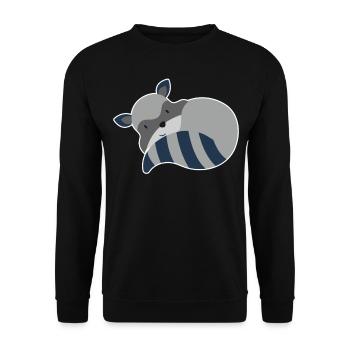 Raton laveur animaux mignons ratons laveurs ratons laveurs - Sweat-shirt Unisexe - noir - Devant - Alina (178cm) & Michal (187cm)