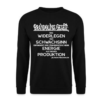 brandolinis gesetz Fake News Bullshit Informatik - Unisex Pullover - Schwarz - Vorne - Alina (178cm) & Michal (187cm)