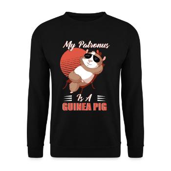 Guinea pigs, spells, wizards, magic - Unisex Sweatshirt - black - Front - Alina (178cm) & Michal (187cm)