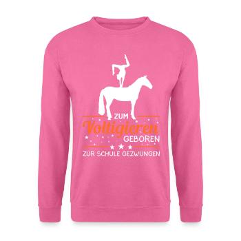 Voltigieren - Unisex Pullover - Pink - Vorne