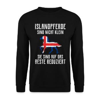 Islandpferd - Unisex Pullover - Schwarz - Vorne - Alina (178cm) & Michal (187cm)