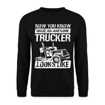 Truck Truck Driver - Trucker Truck Truck Driver - Unisex Sweatshirt - black - Front - Alina (178cm) & Michal (187cm)