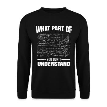 Mathematik What Part Of Don't You Understand - Unisex Pullover - Schwarz - Vorne - Alina (178cm) & Michal (187cm)