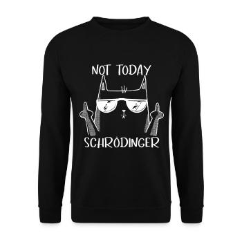 Not today Schrödinger cool cat - Unisex Sweatshirt - black - Front - Alina (178cm) & Michal (187cm)