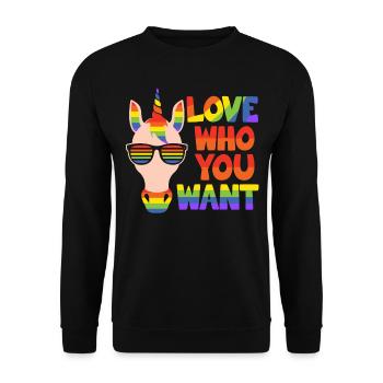 Schwul-Lesbisch LGBT Gemeinschaft Einhorn - Unisex Pullover - Schwarz - Vorne - Alina (178cm) & Michal (187cm)