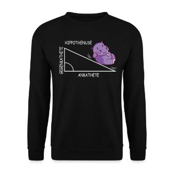 Drôle de jeu de mots mathématiques Hippothenuse Hippopotamus - Sweat-shirt Unisexe - noir - Devant - Alina (178cm) & Michal (187cm)