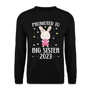 Zur großen Schwester befördert 2023 Schwesterchen - Unisex Pullover - Schwarz - Vorne - Alina (178cm) & Michal (187cm)